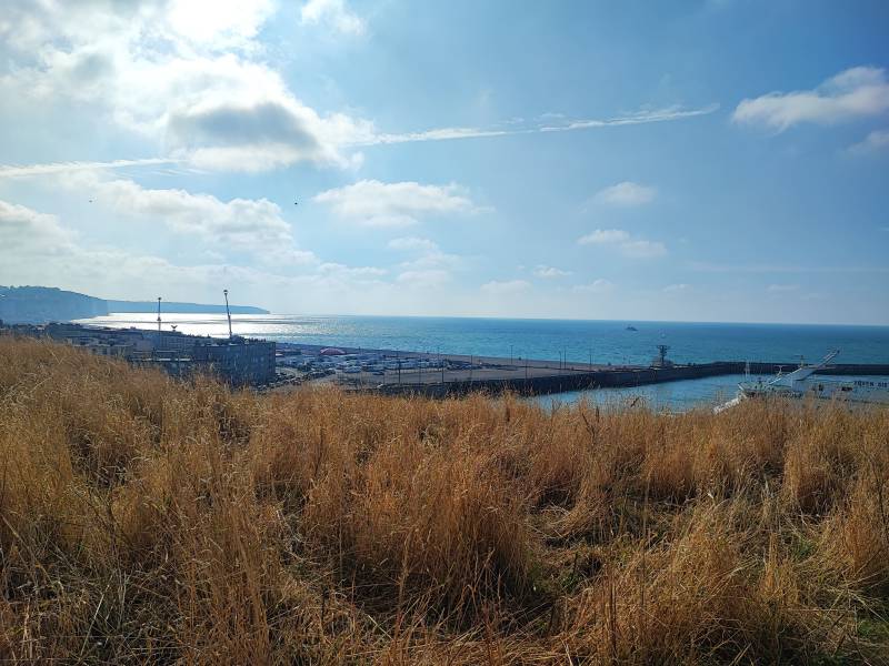 Anniversaire débarquement canadiens