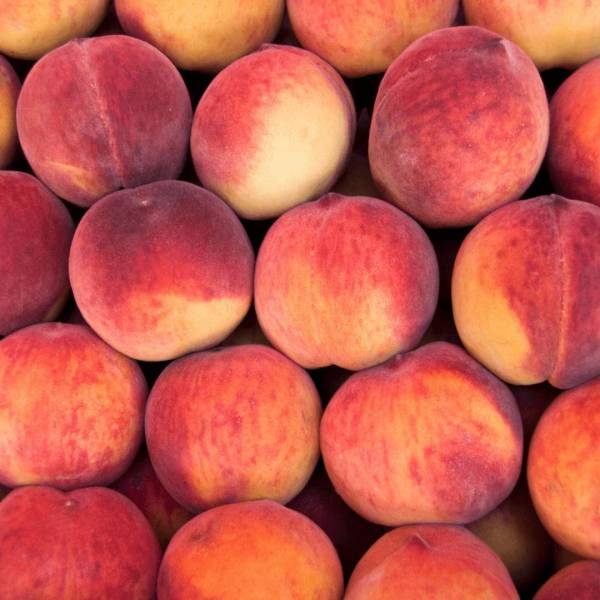 Nouveaux jus artisanaux pour vos évènements