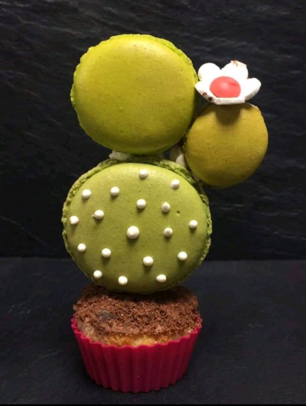 macactus macarons